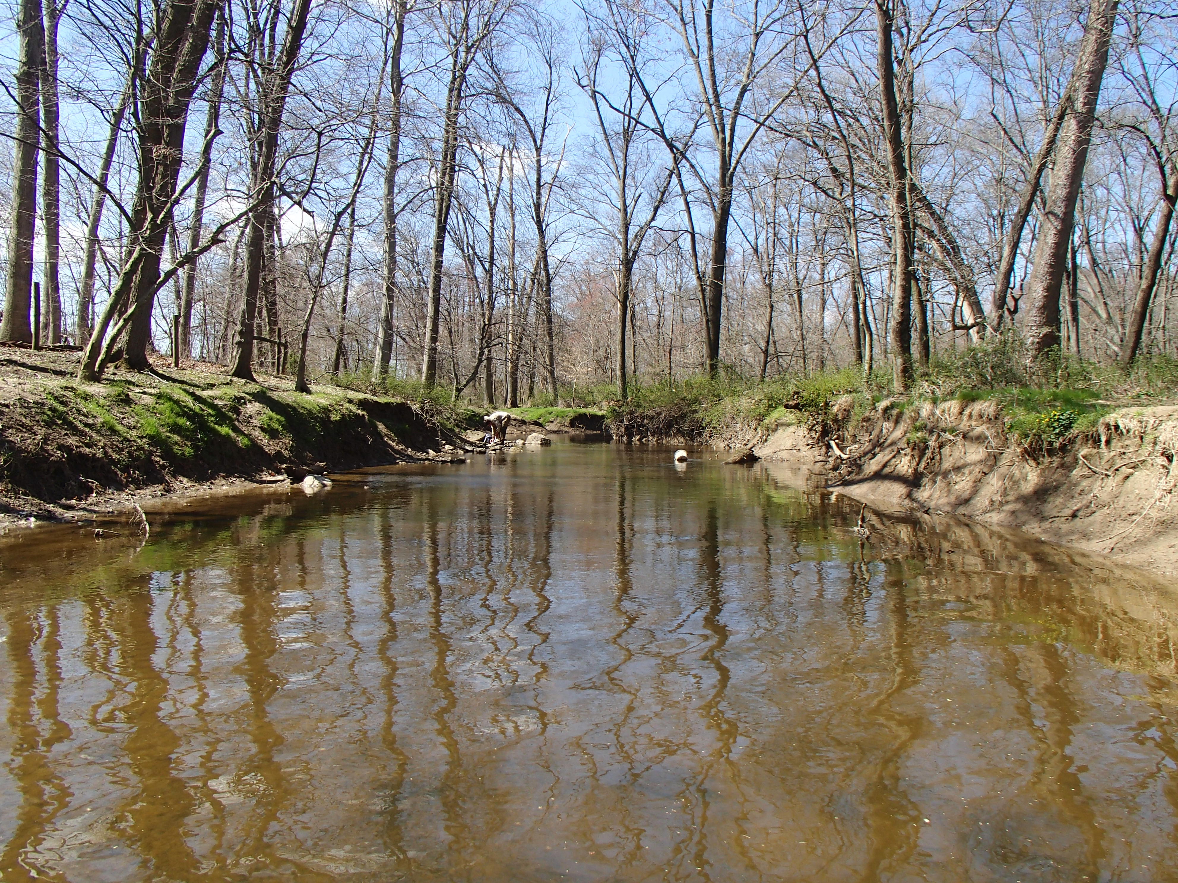 Field photo showing stream conditions at site NEAS-205-R-2016_midpoint looking upstream